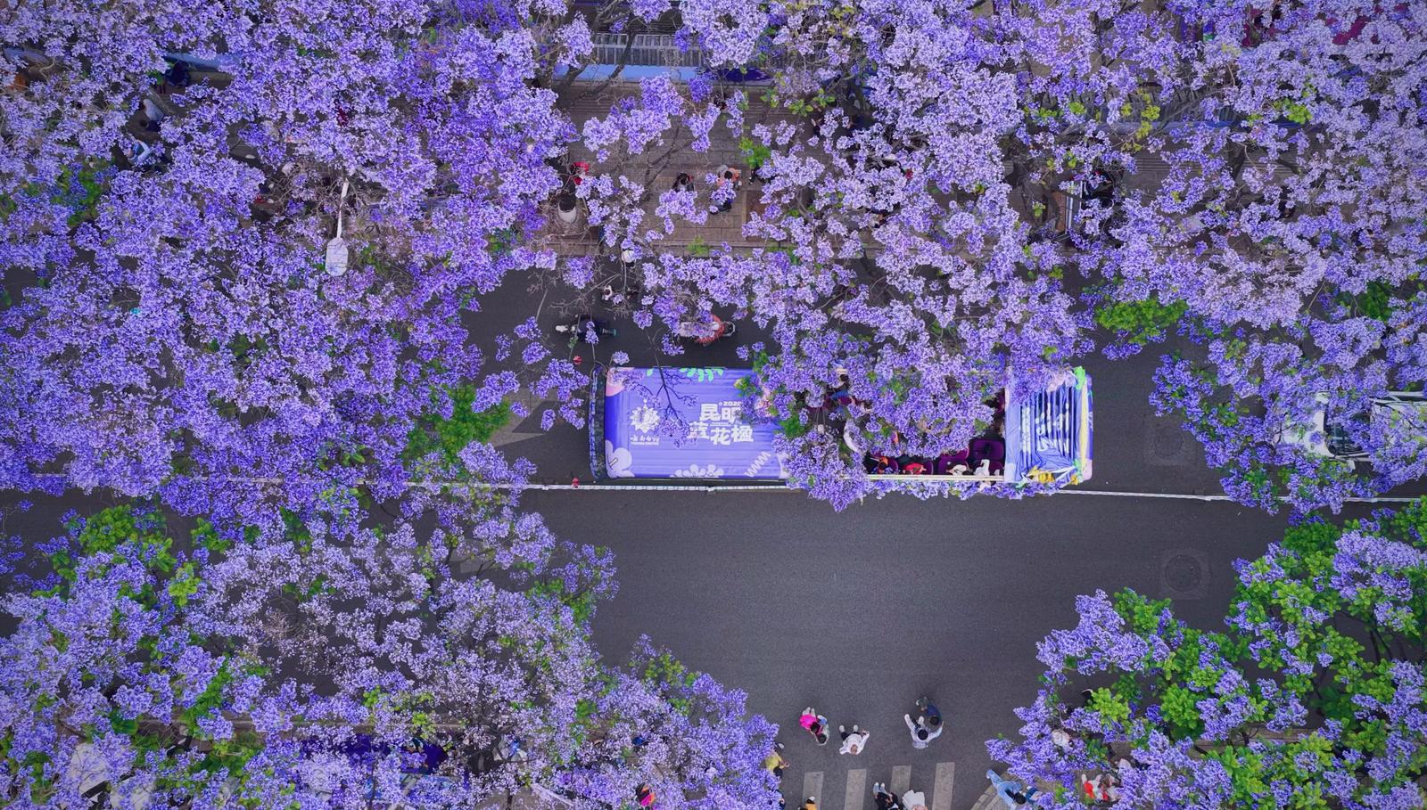 教场中路.jpg