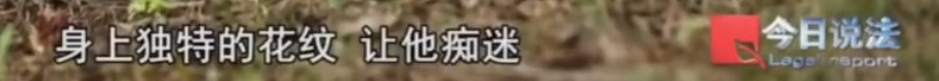 e82dc07f5eb307dbdb9f650fe234e2da.png